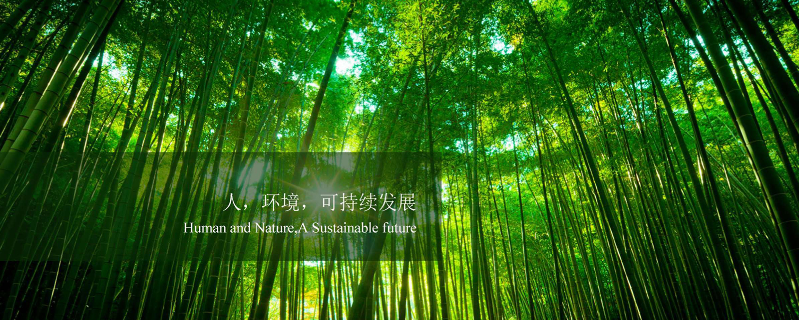 六(liù)安寶彩久來有限責任公司